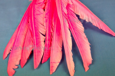 Декоративный Пучок из перьев, перо 25см/розовый - купить в Ухте. Цена: 14.40 руб.