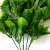 Трава искусственная -1, шт (эвкалипт лист 32 см/8 см)				 - купить в Ухте. Цена: 169.93 руб.