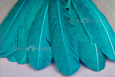 Декоративный Пучок из перьев, перо 24см/голубой - купить в Ухте. Цена: 12.19 руб.
