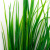 Трава искусственная -2, шт (осока 41см/8 см)				 - купить в Ухте. Цена: 104.57 руб.