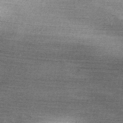 Ткань подкладочная Таффета 17-1501, антист., 54 гр/м2, шир.150см, цвет св.серый - купить в Ухте. Цена 60.40 руб.