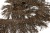 008-коричневый, Бахрома арт.001 шир.10см (упак.12+/-0,5м) - купить в Ухте. Цена: 1 017.33 руб.