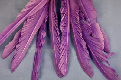 Декоративный Пучок из перьев, перо 25см/фиолетовый - купить в Ухте. Цена: 12.19 руб.