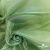 Ткань органза, 100% полиэстр, 28г/м2, шир. 150 см, цв. #27 зеленый - купить в Ухте. Цена 86.24 руб.