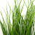 Трава искусственная -4, шт  (осока 50 см/8 см  7 листов)				 - купить в Ухте. Цена: 130.73 руб.