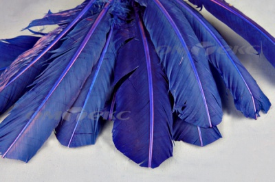 Декоративный Пучок из перьев, перо 23см/синий - купить в Ухте. Цена: 12.34 руб.